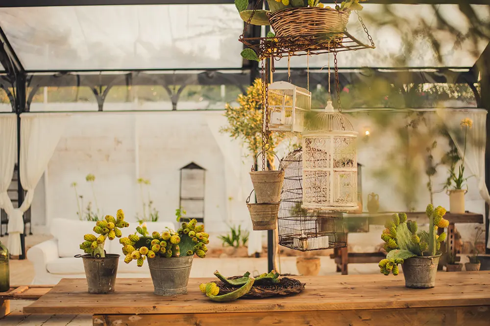 matrimonio-greenhouse-02-masseria-eccellenza-fasano-puglia