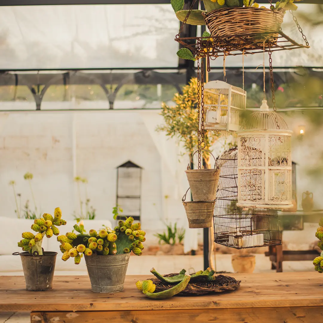 matrimonio-greenhouse-02-mobile-masseria-eccellenza-fasano-puglia